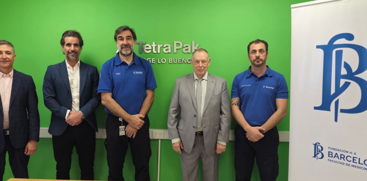 descripcion imagen 1